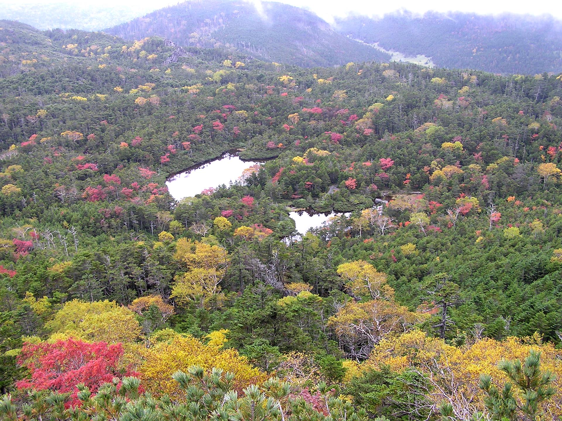 七ツ池紅葉