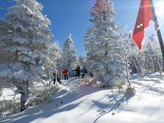 山の朝のスノーシュートレッキングツアーしらびその森コース