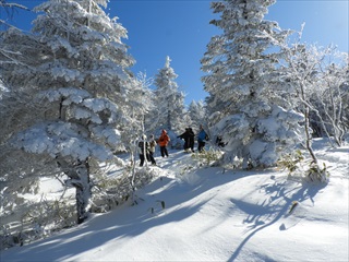 山の朝のスノーシュートレッキングツアーしらびその森コース