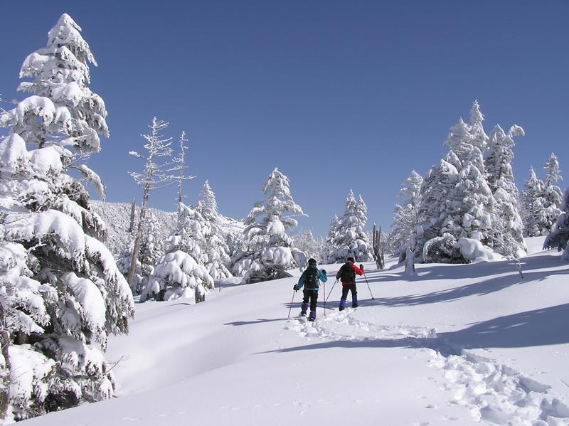 雪山で遊ぼうスノーシュートレッキング
