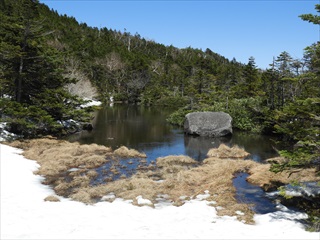 残雪の北八ヶ岳トレッキング、七ツ池一の池