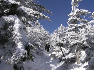 雪山登山 北横岳